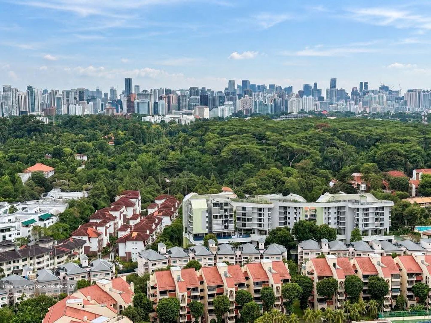 D'Leedon (D10), Condominium #630253971
